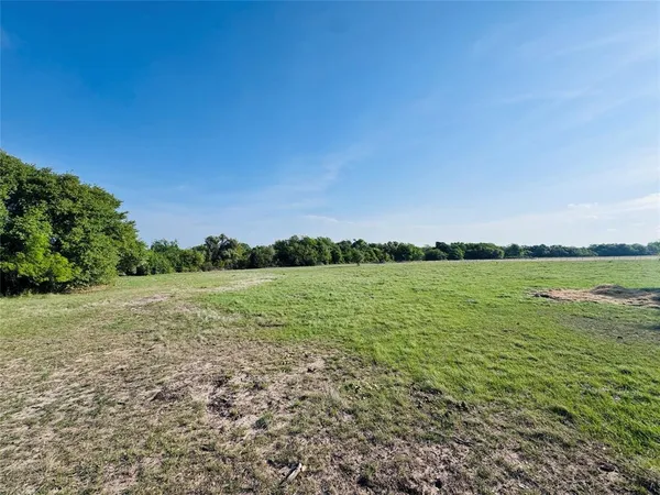 a view of a green field with trees in the background