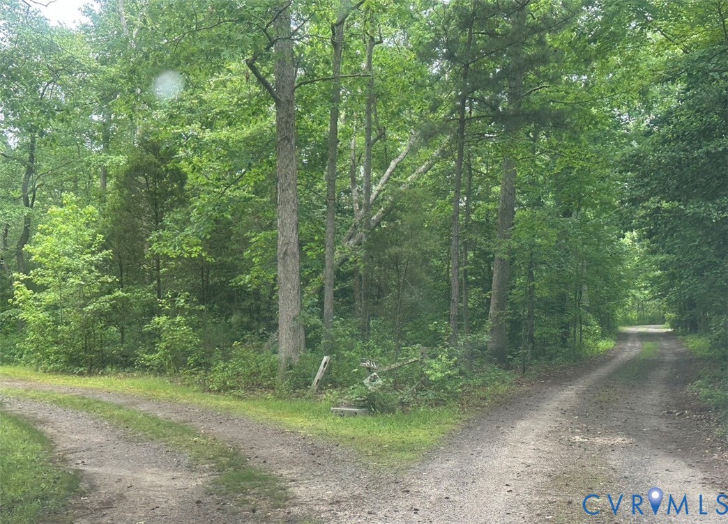 7815 Gold Acres Farm Road Prince George, VA 23875 - Photo 2 of 2 a view of a forest