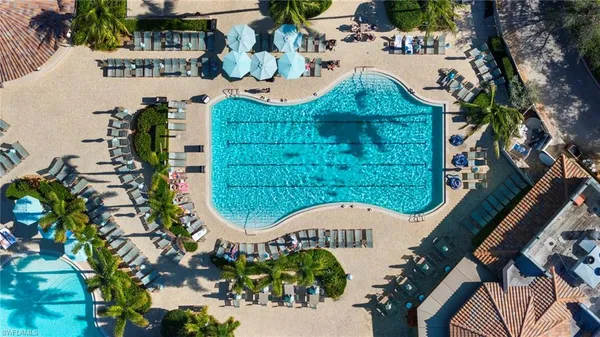 a view of a swimming pool with a bench and potted plants
