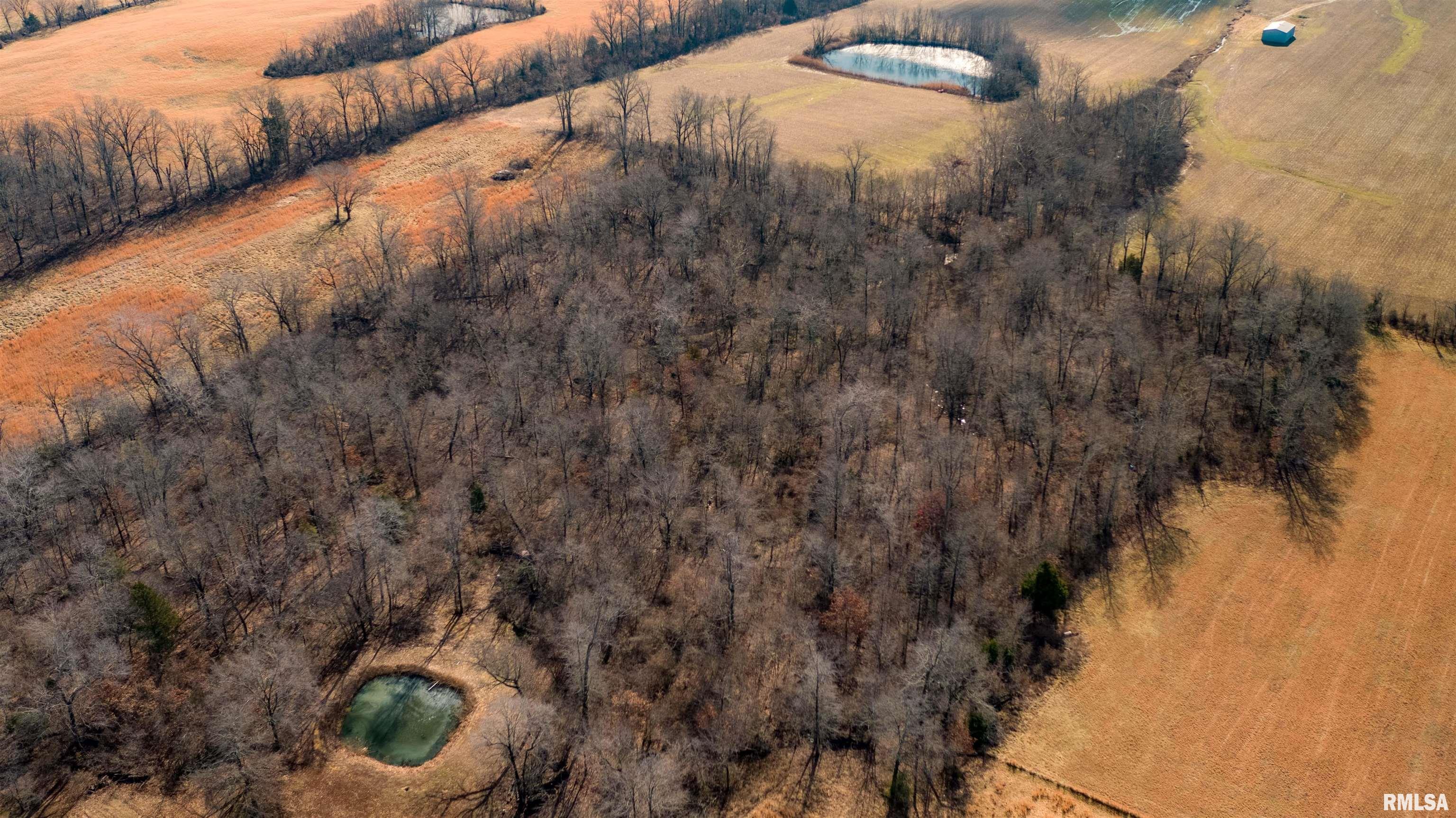 12855 Cleveland Lane Pittsburg, IL 62974 - Photo 27 of 32