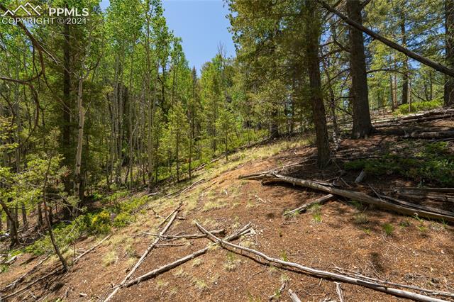 917 Princess Road Cripple Creek, CO 80813 - Photo 24 of 47 Gallery Image 24