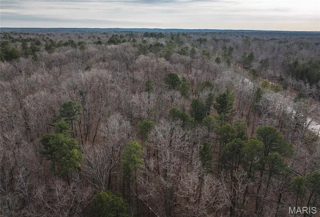 $23,500 | 0 Highway 21, Doniphan, MO 63935