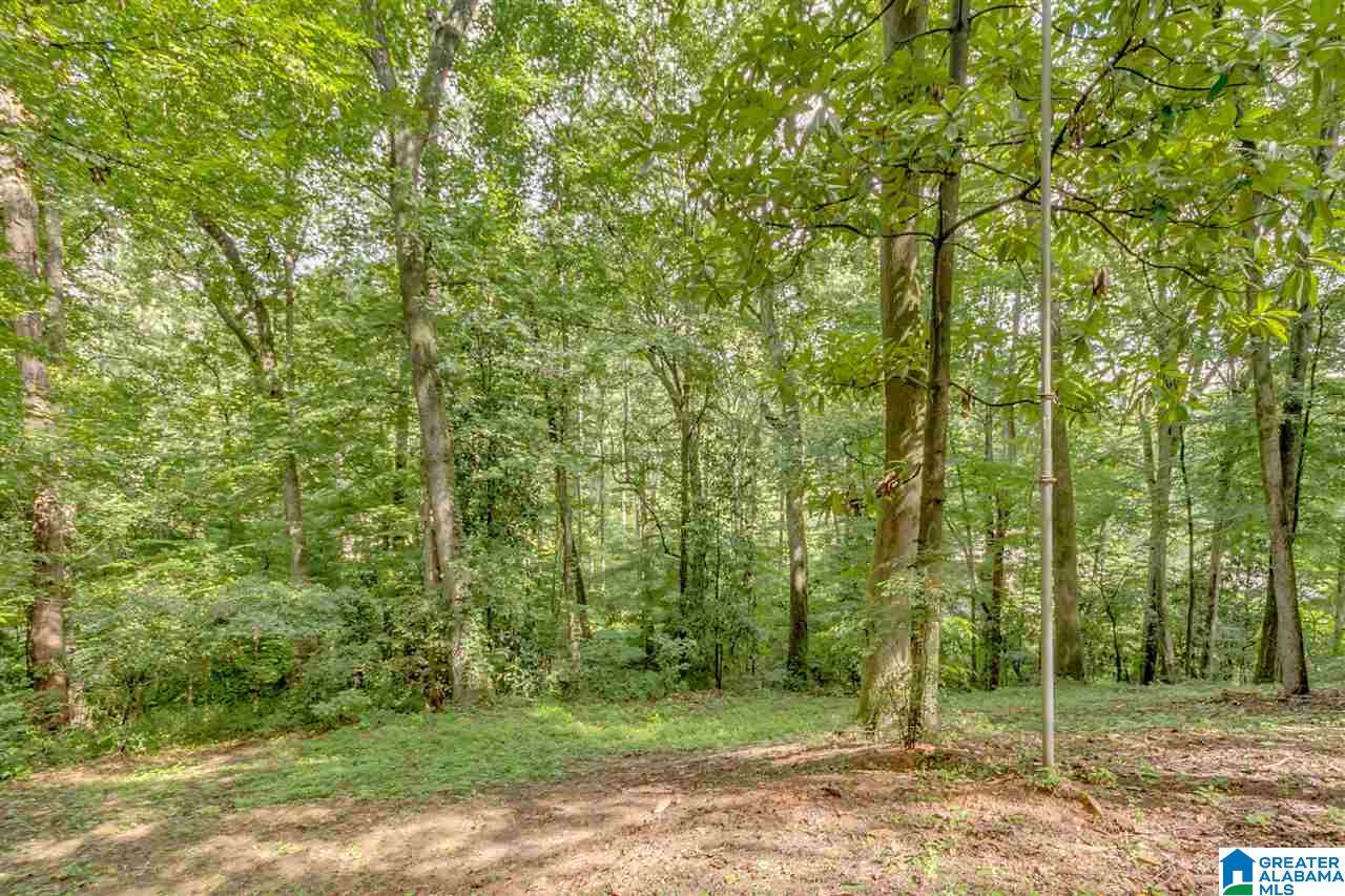 2920 Woodland Road Tuscaloosa, AL 35405 - Photo 41 of 46