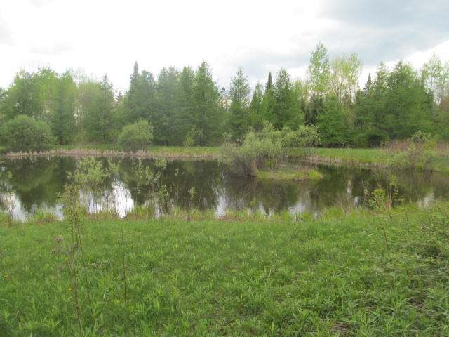 On Jane Spur Road, Unit 81 ACRES Gleason, WI 54435 - Photo 10 of 16 Gallery Image 10