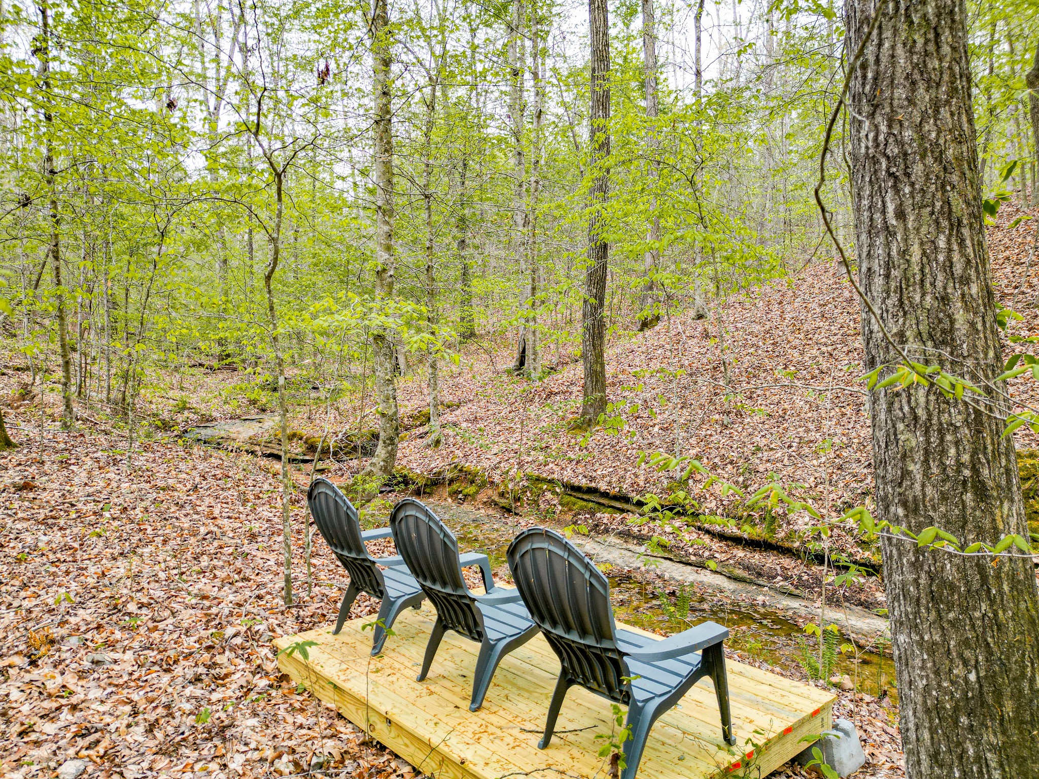920 Mason Bates Bend Road Centerville, TN 37033 - Photo 39 of 82 Gallery Image 39