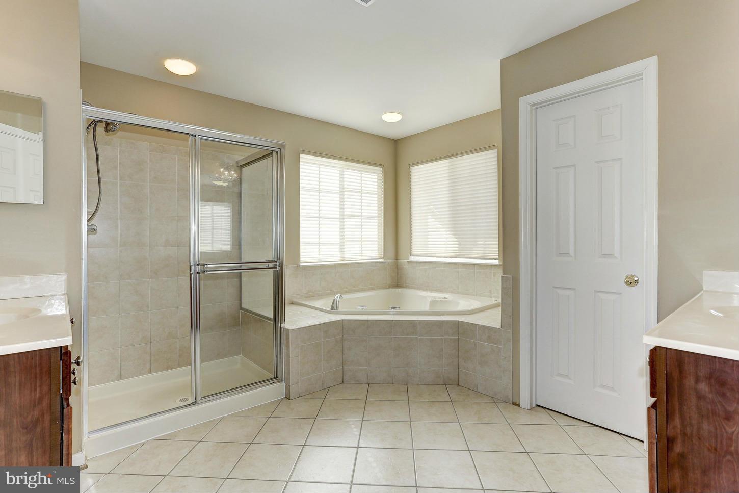 8082 High Castle Road Ellicott City, MD 21043 - Photo 19 of 30 Spa Like Master Bath