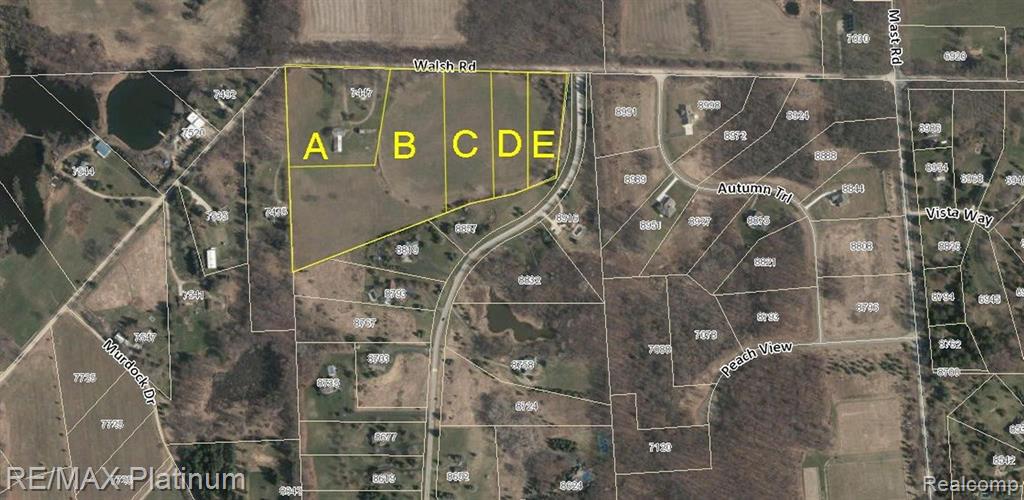 Parcel E Walsh Road Dexter, MI 48130 - Photo 2 of 3