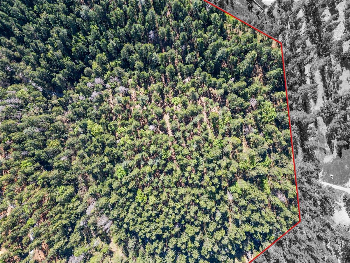 6400 Shoo Fly Road Placerville, CA 95667 - Photo 6 of 18
