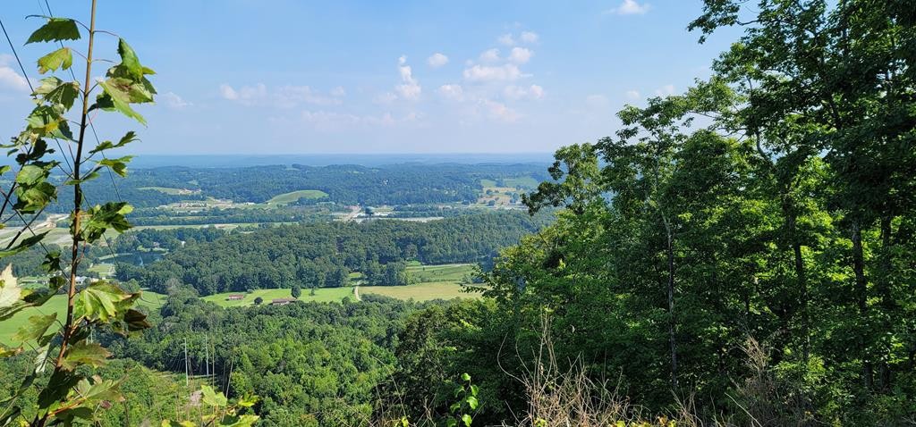 0 Back Valley Road Dayton, TN 37321 - Photo 1 of 20