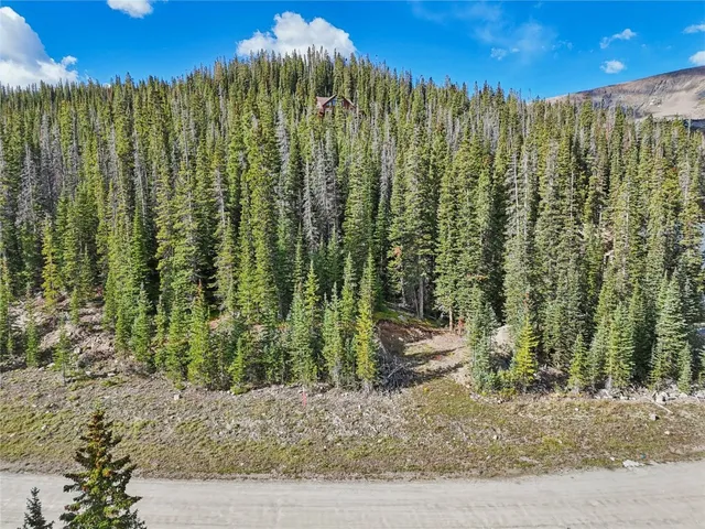 a view of a garden with plants