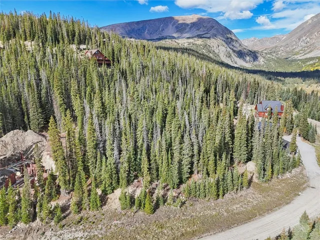 a view of a garden with a mountain in the background