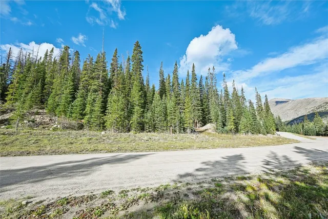 a view of a yard with palm trees