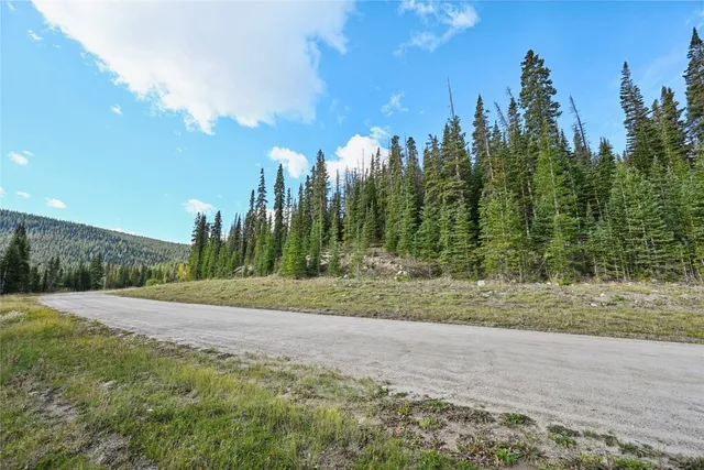 a view of a yard with palm trees
