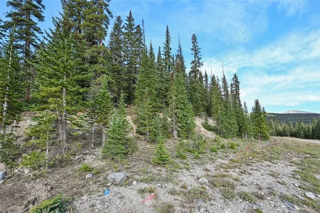 a view of a green field