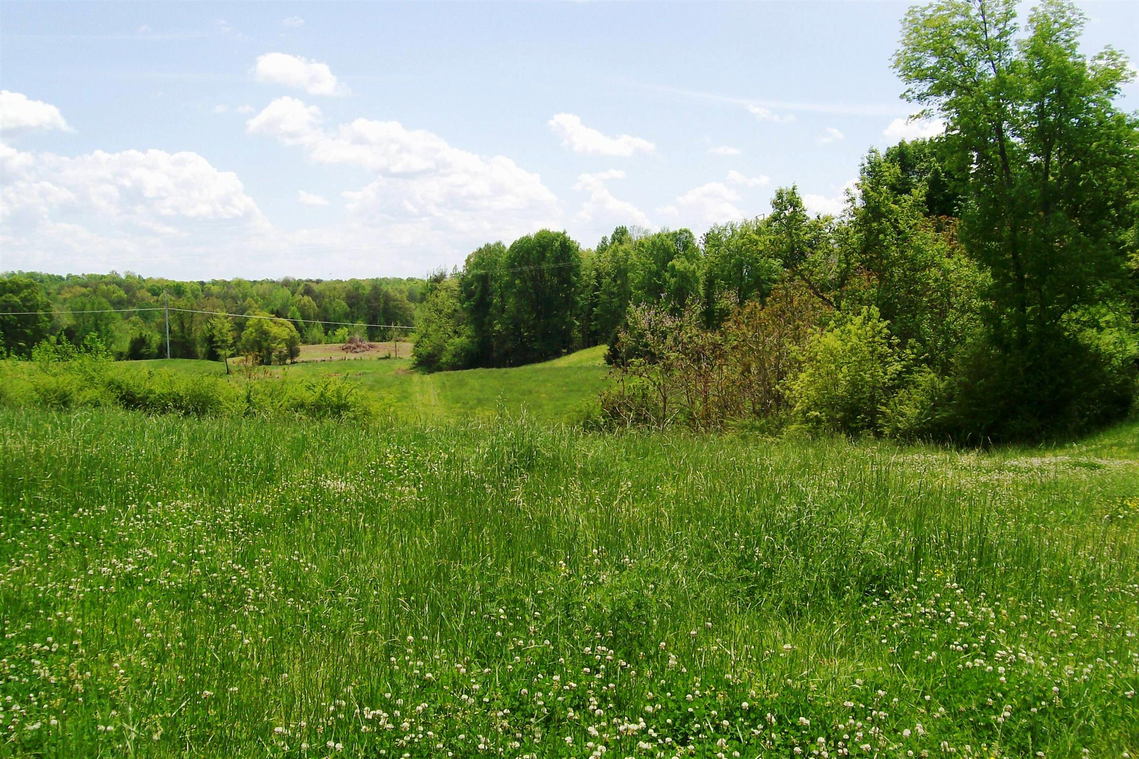 1315 Webbs Camp Road Walling, TN 38587 - Photo 1 of 16 Gallery Image 1