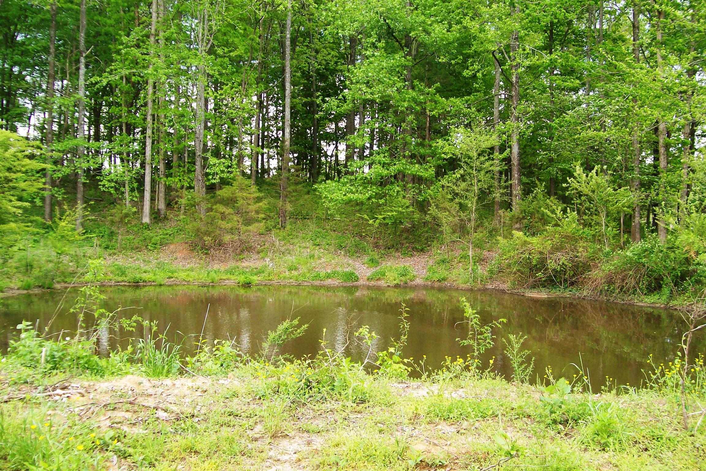 1315 Webbs Camp Road Walling, TN 38587 - Photo 11 of 16 Gallery Image 11