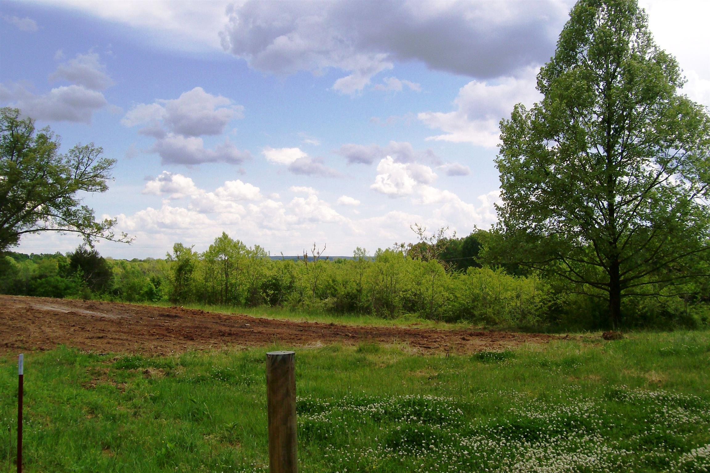 1315 Webbs Camp Road Walling, TN 38587 - Photo 12 of 16 Gallery Image 12