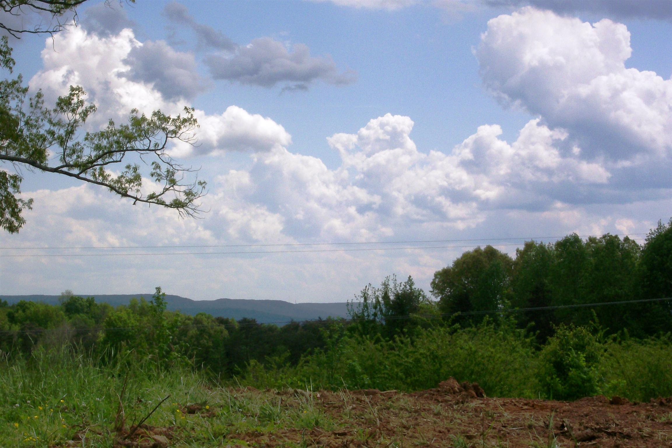 1315 Webbs Camp Road Walling, TN 38587 - Photo 3 of 16 Gallery Image 3
