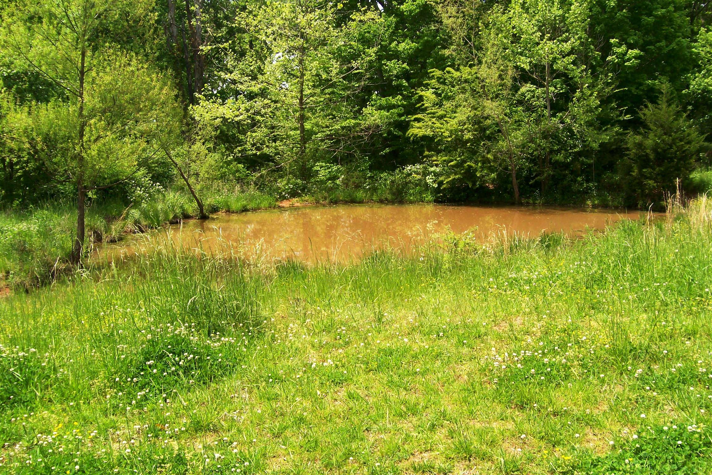 1315 Webbs Camp Road Walling, TN 38587 - Photo 5 of 16 Gallery Image 5