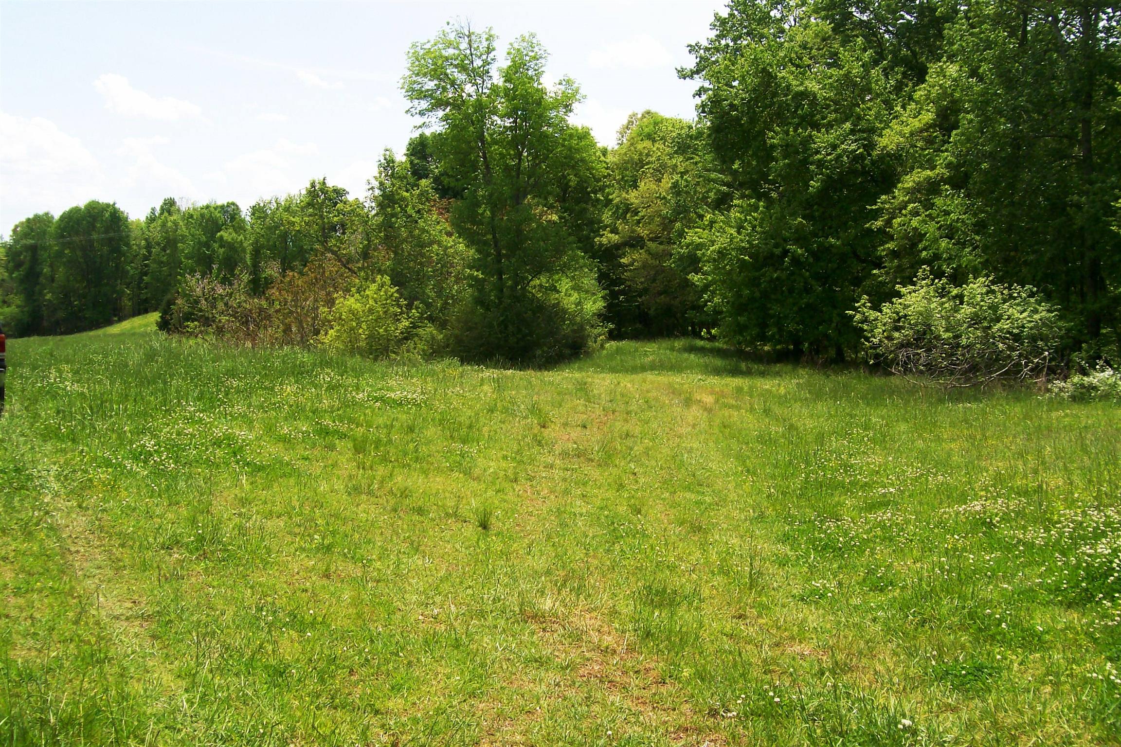 1315 Webbs Camp Road Walling, TN 38587 - Photo 6 of 16 Gallery Image 6