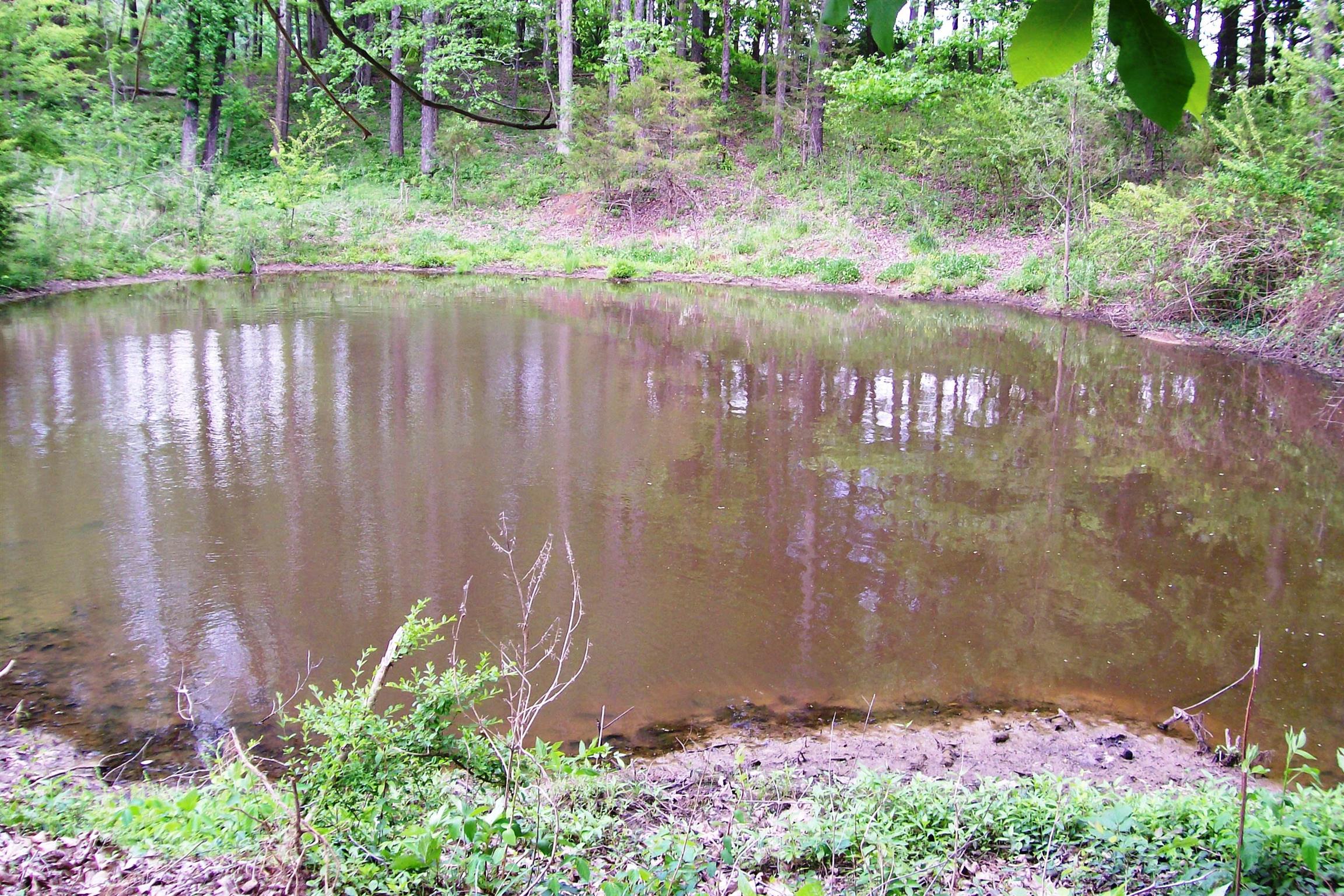 1315 Webbs Camp Road Walling, TN 38587 - Photo 10 of 16 Gallery Image 10