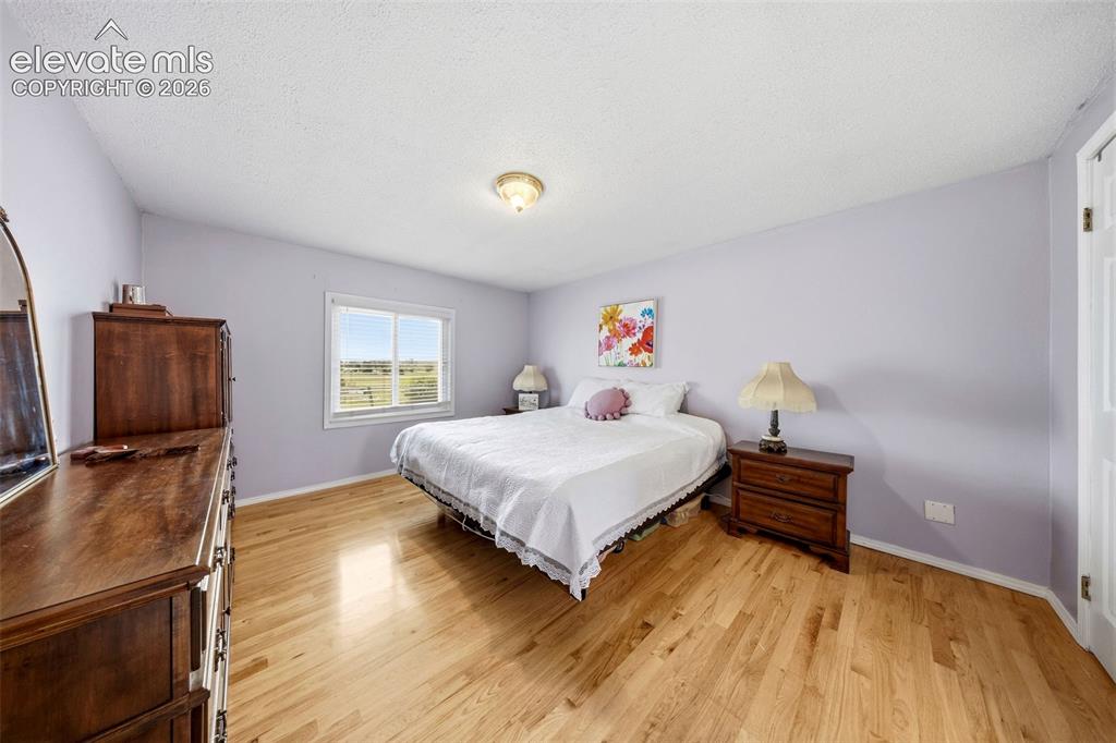 13075 Blaney Road South Peyton, CO 80831 - Photo 16 of 40 Master bedroom as is featuring wood-finish flooring, a white trim window, and neutral wall paint
