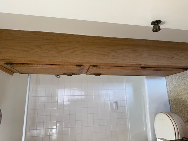 1401 West 29th Street, Unit C Austin, TX 78703 - Photo 14 of 19 a bathroom with a bathtub and a shower