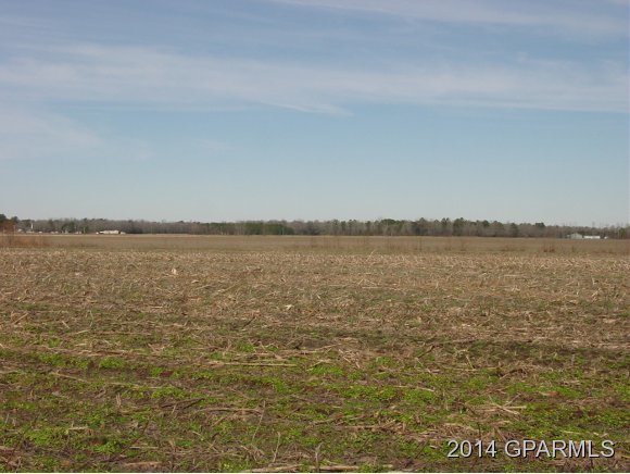 309 Bay Bush Road Vanceboro, NC 28586 - Photo 3 of 12 Additional Photo