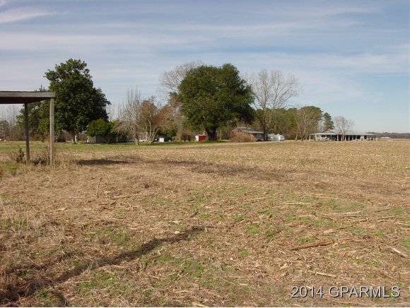 309 Bay Bush Road Vanceboro, NC 28586 - Photo 4 of 12 Additional Photo