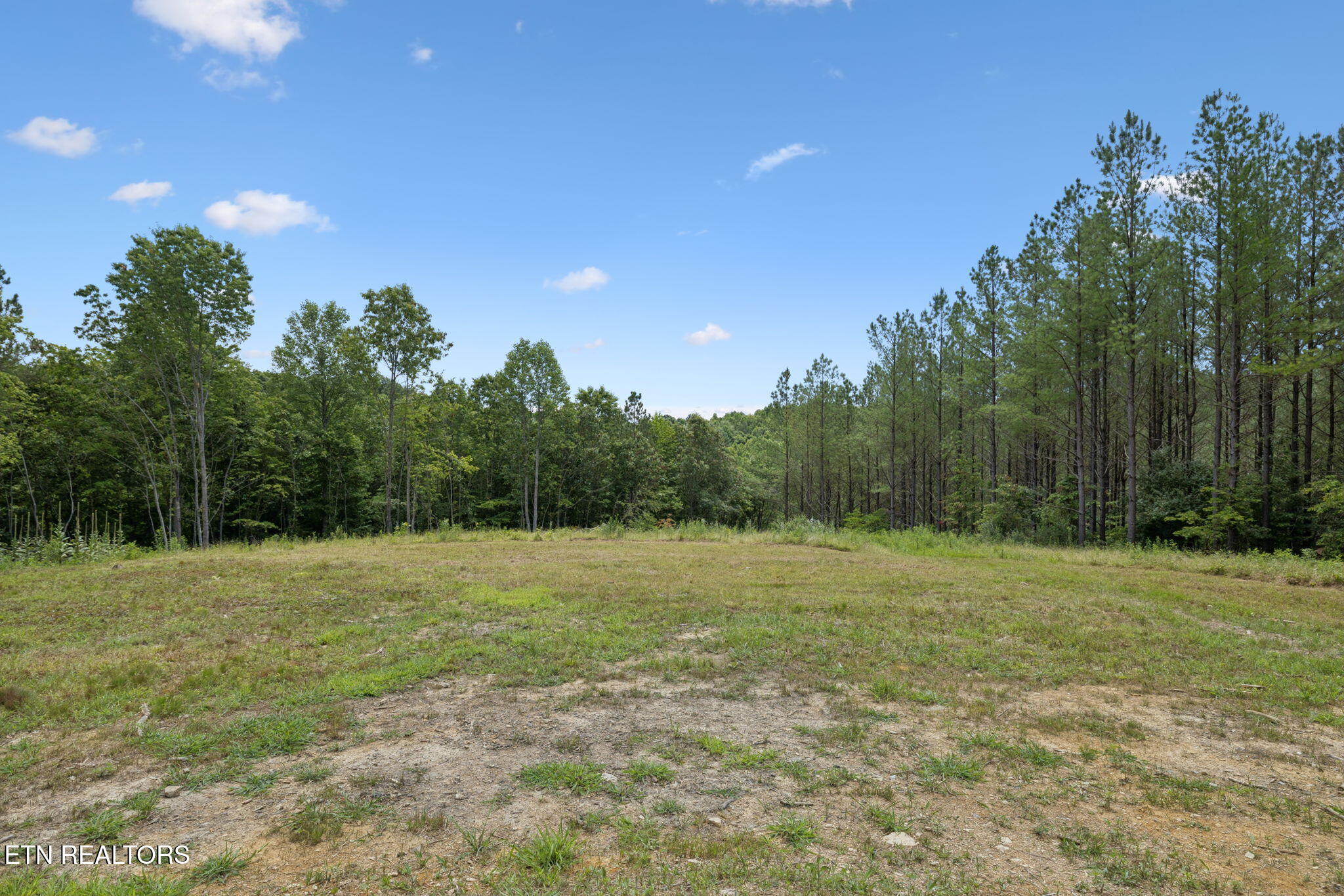 138 Belle Ridge Robbins, TN 37852 - Photo 27 of 55 28-web-or-mls-Belle Rdg - 028