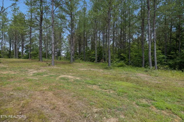 $499,900 | 138 Belle Ridge, Robbins, TN 37852