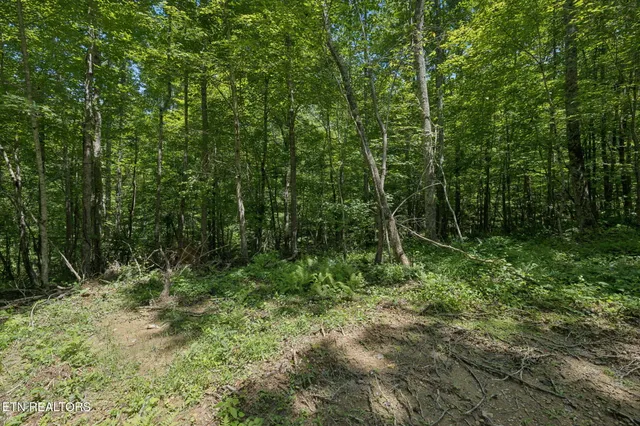 $499,900 | 138 Belle Ridge, Robbins, TN 37852