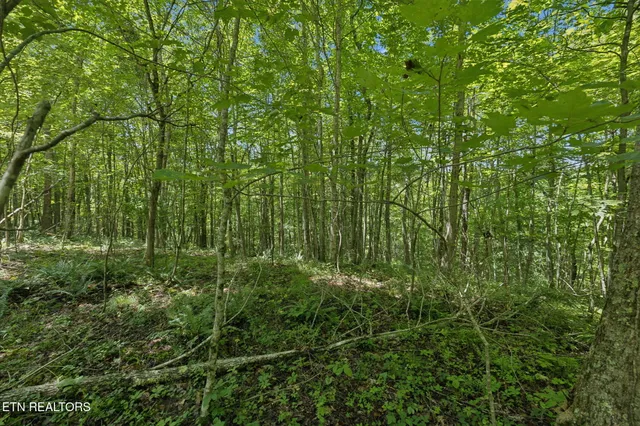 $499,900 | 138 Belle Ridge, Robbins, TN 37852