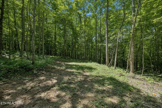 $499,900 | 138 Belle Ridge, Robbins, TN 37852