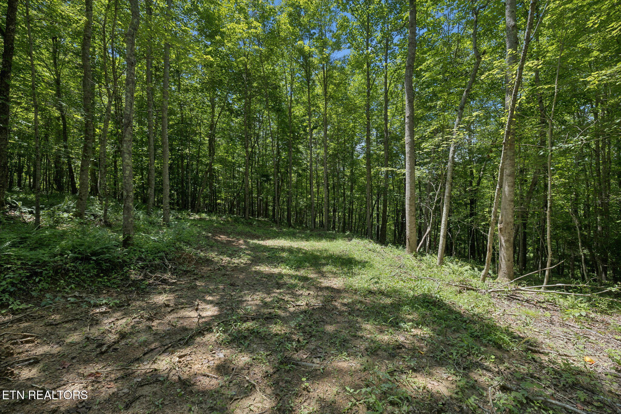 138 Belle Ridge Robbins, TN 37852 - Photo 39 of 55 41-web-or-mls-Belle Rdg - 041