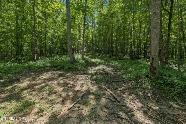 $499,900 | 138 Belle Ridge, Robbins, TN 37852