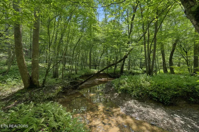 $499,900 | 138 Belle Ridge, Robbins, TN 37852