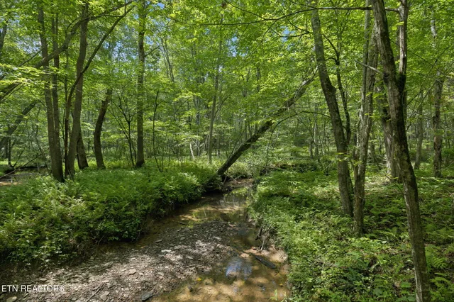 $499,900 | 138 Belle Ridge, Robbins, TN 37852