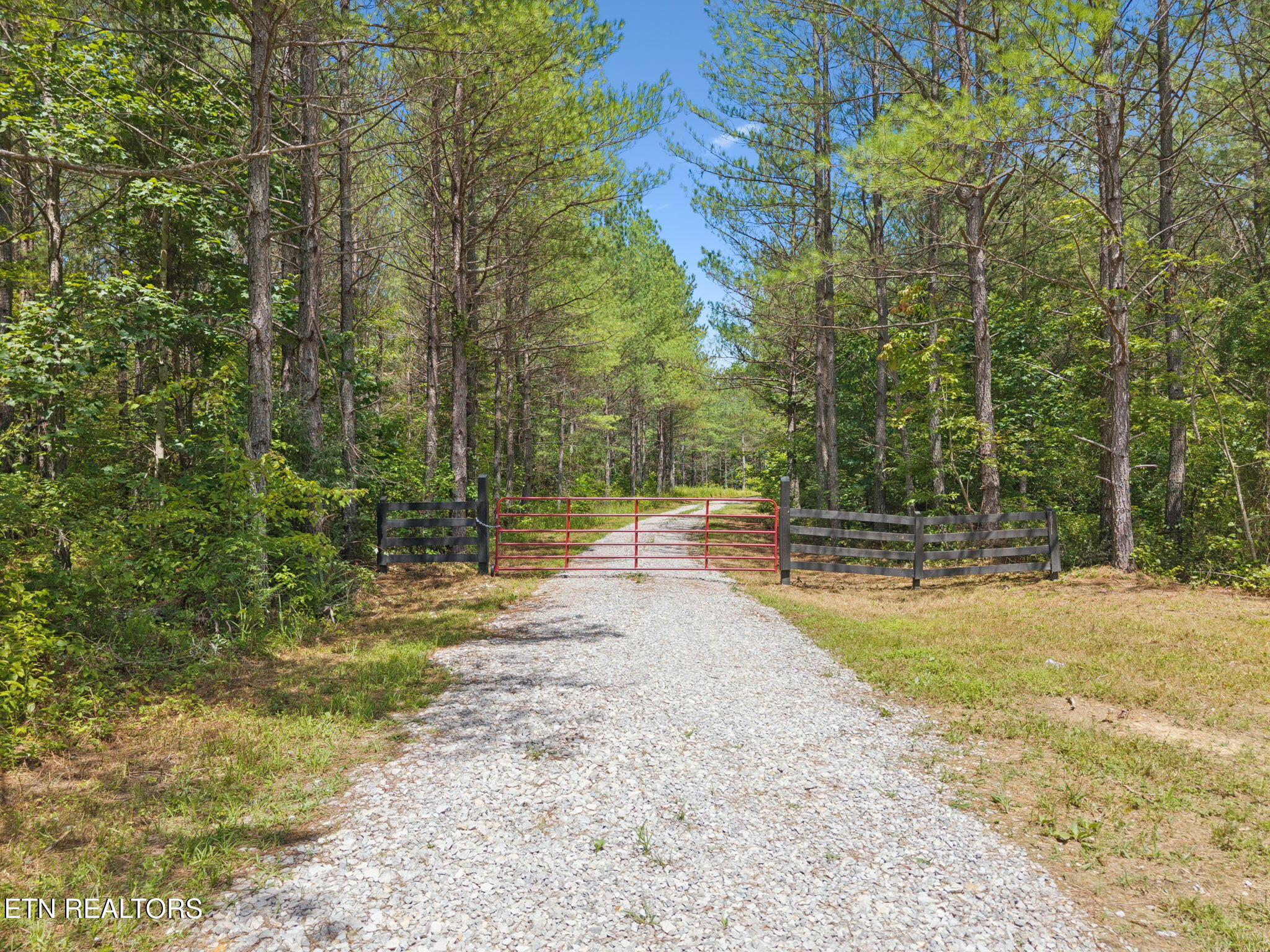 138 Belle Ridge Robbins, TN 37852 - Photo 43 of 55 45-web-or-mls-Belle Rdg - 045