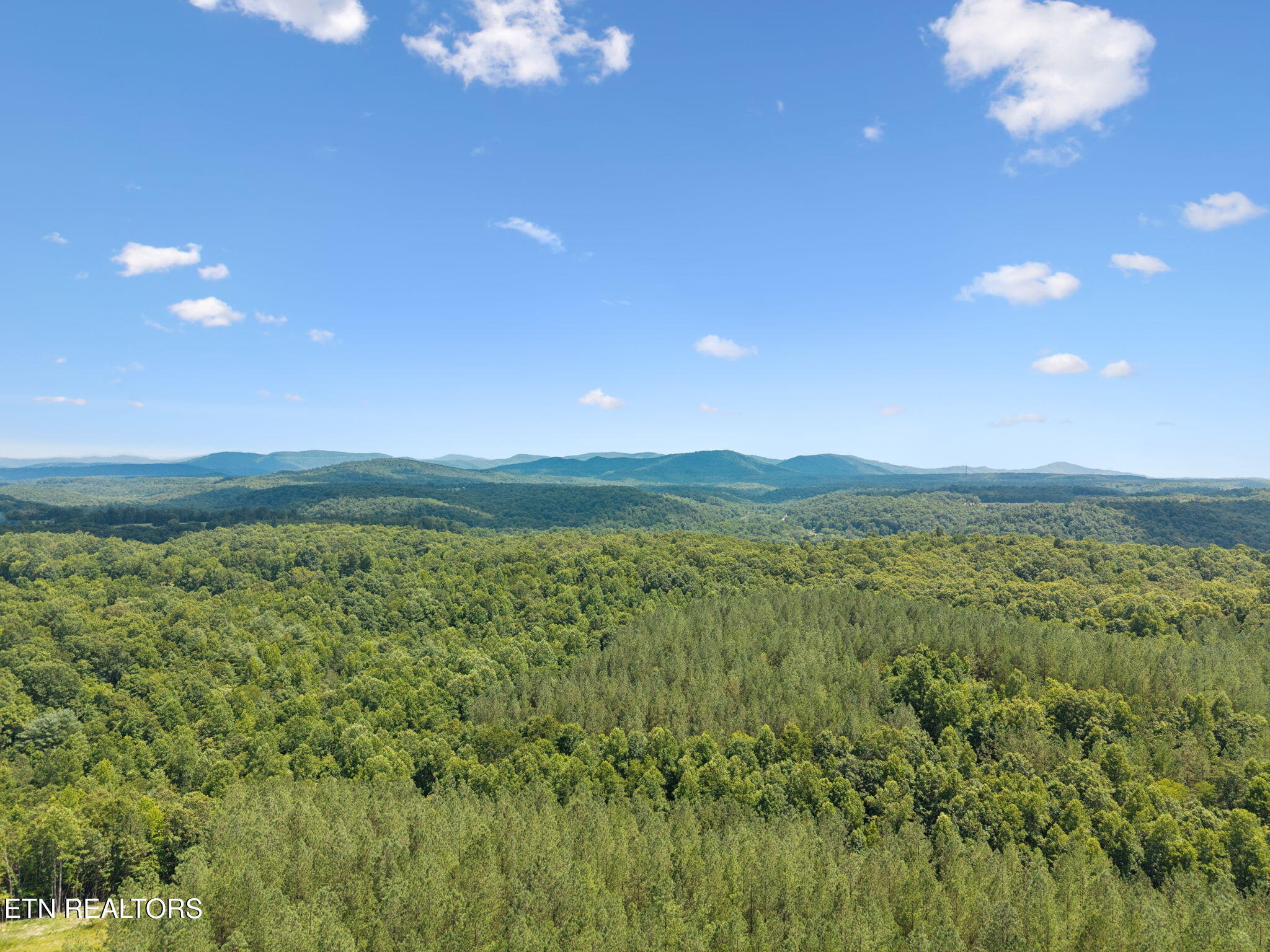 138 Belle Ridge Robbins, TN 37852 - Photo 46 of 55 48-web-or-mls-Belle Rdg - 048