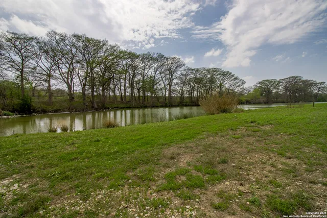 a view of a park with large trees