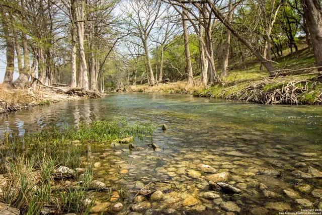 a view of yard with tree