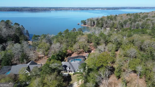 an aerial view of green landscape with trees houses and lake view