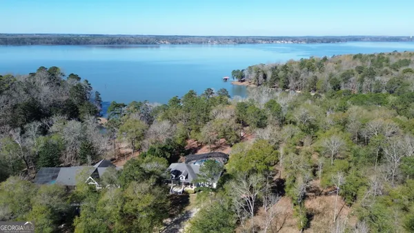 an aerial view of ocean with green space