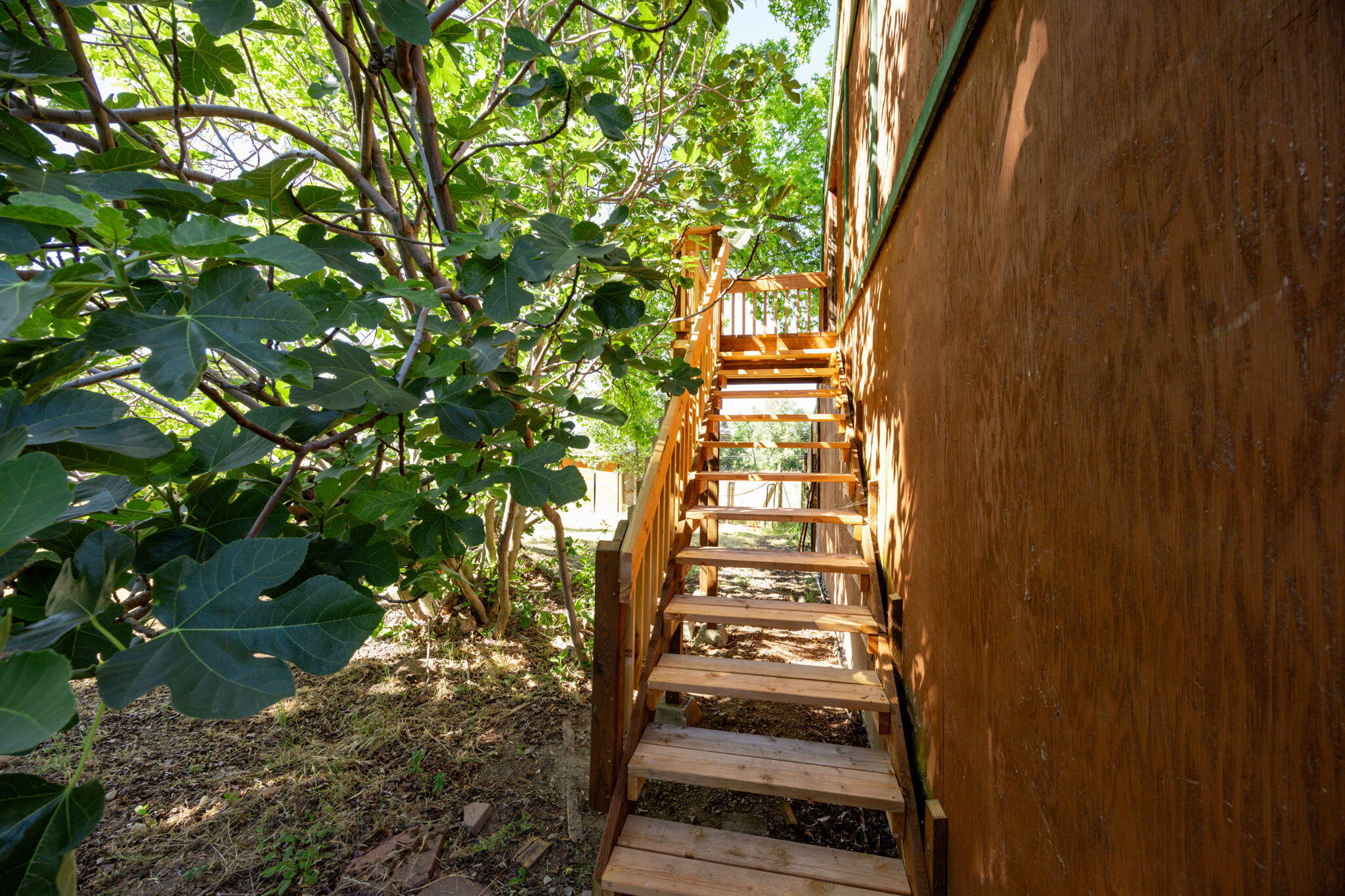 705 Foss Road Talent, OR 97540 - Photo 68 of 93 Stairs to barn loft