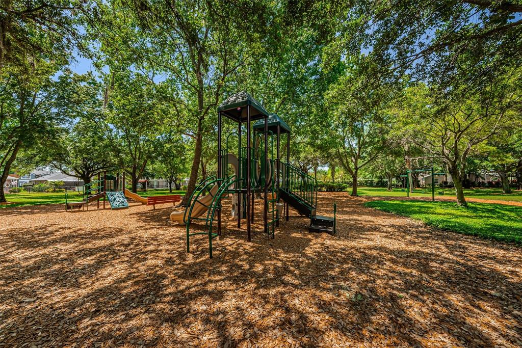 1821 Alvara Place Trinity, FL 34655 - Photo 43 of 63