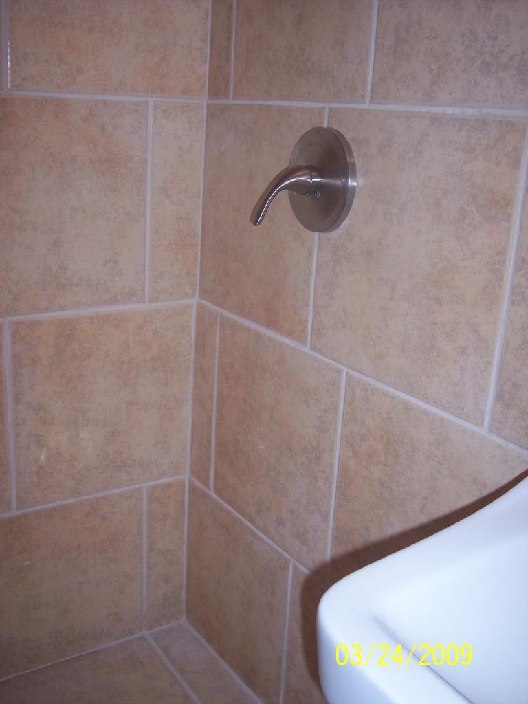 2414 East John Cabot Road Phoenix, AZ 85032 - Photo 4 of 10 Shower