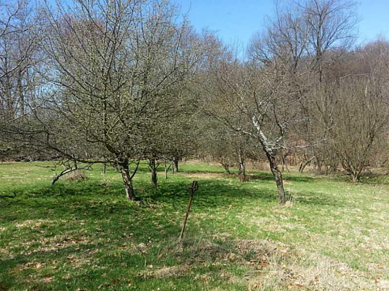 104 Hunt Road Bell Acres, PA 15143 - Photo 3 of 10 Land. Your own mini orchard!