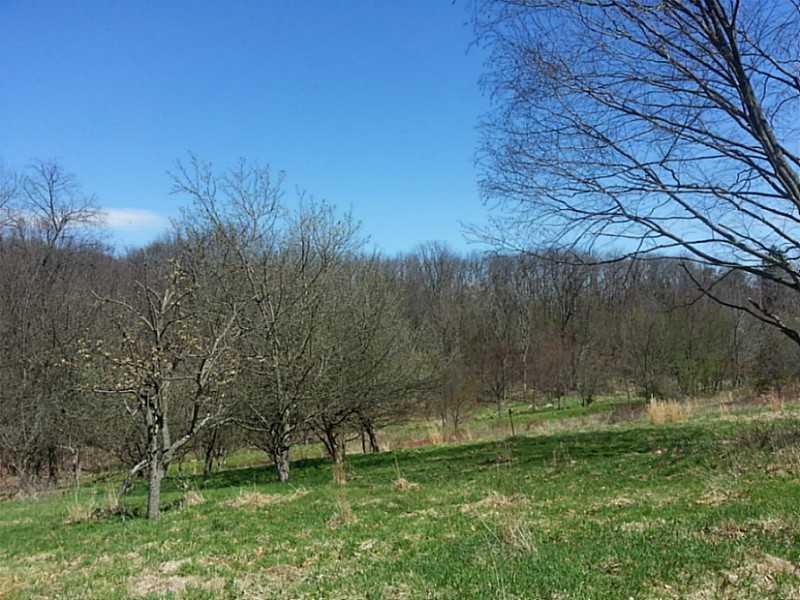 104 Hunt Road Bell Acres, PA 15143 - Photo 4 of 10 Land.