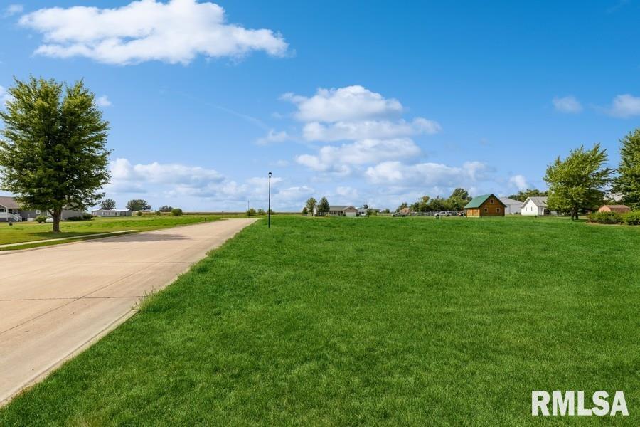 Lot 4 Hendricks Street New Liberty, IA 52765 - Photo 11 of 32